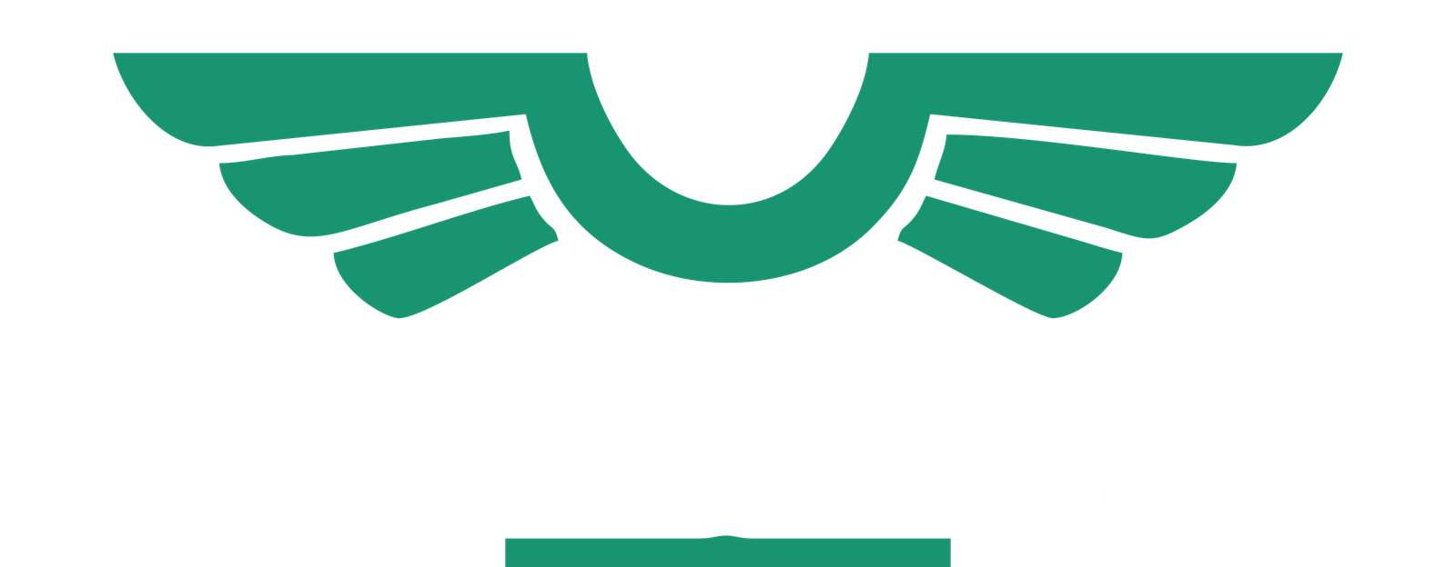 Home Logo